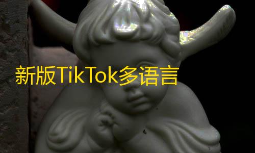 Tok多语言抢单系统源码下载，新版Tik附搭建教程